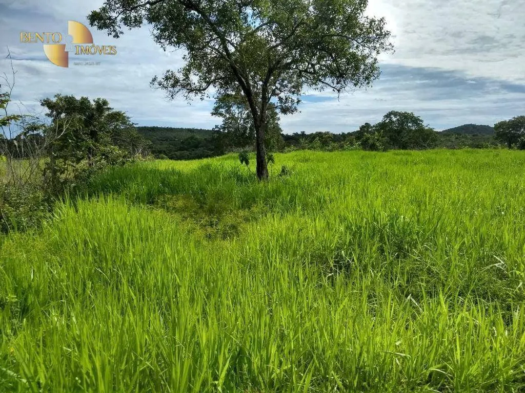 Fazenda à venda de 150 ha em Rosário Oeste, MT, Brasil