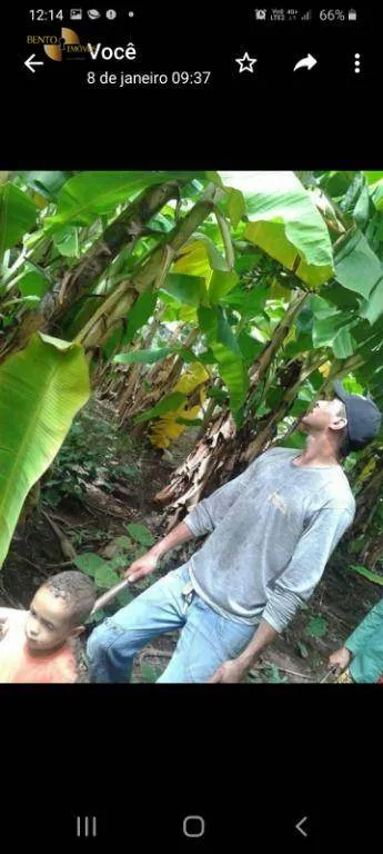 Fazenda à venda de 150 ha em Rosário Oeste, MT, Brasil