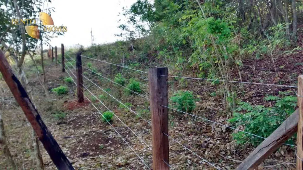 Fazenda à venda de 150 ha em Rosário Oeste, MT, Brasil