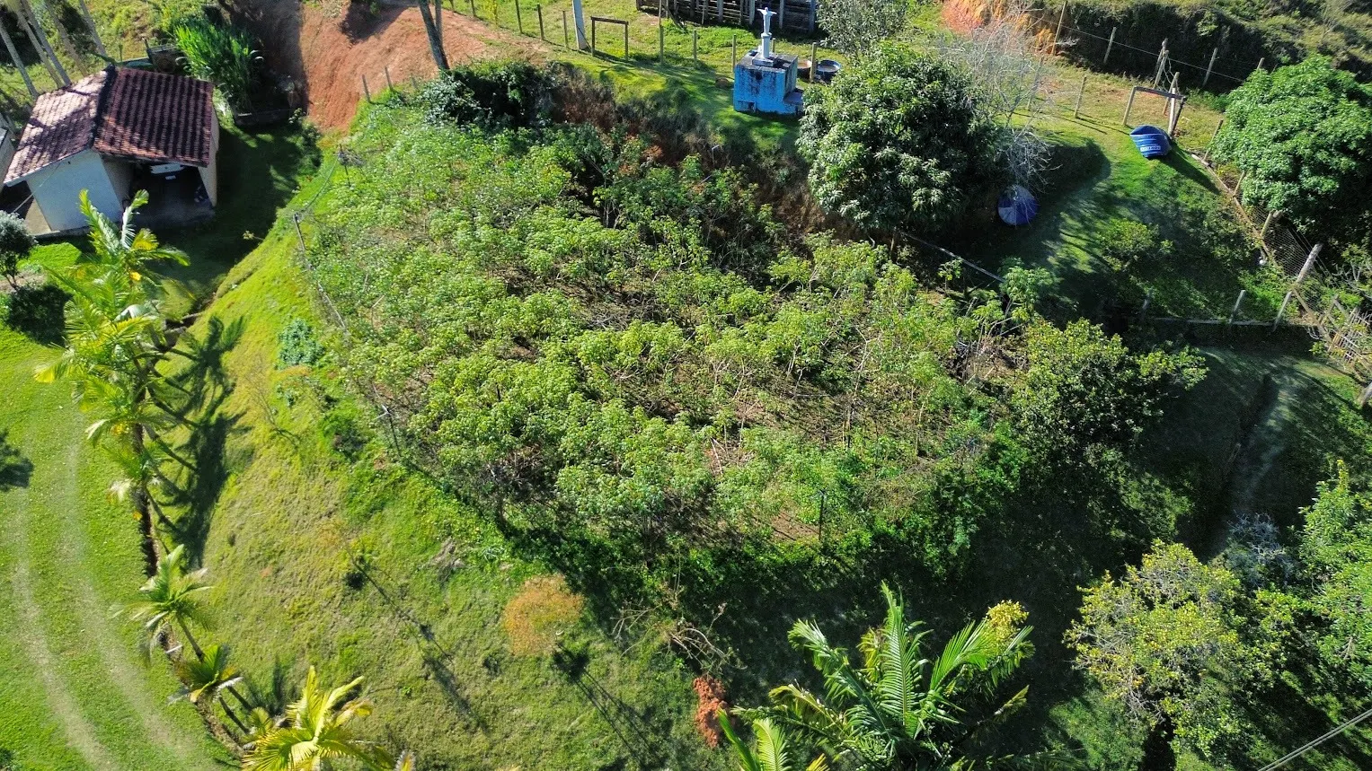 Small farm for sale of 7 acres in Monteiro Lobato, SP, Brazil