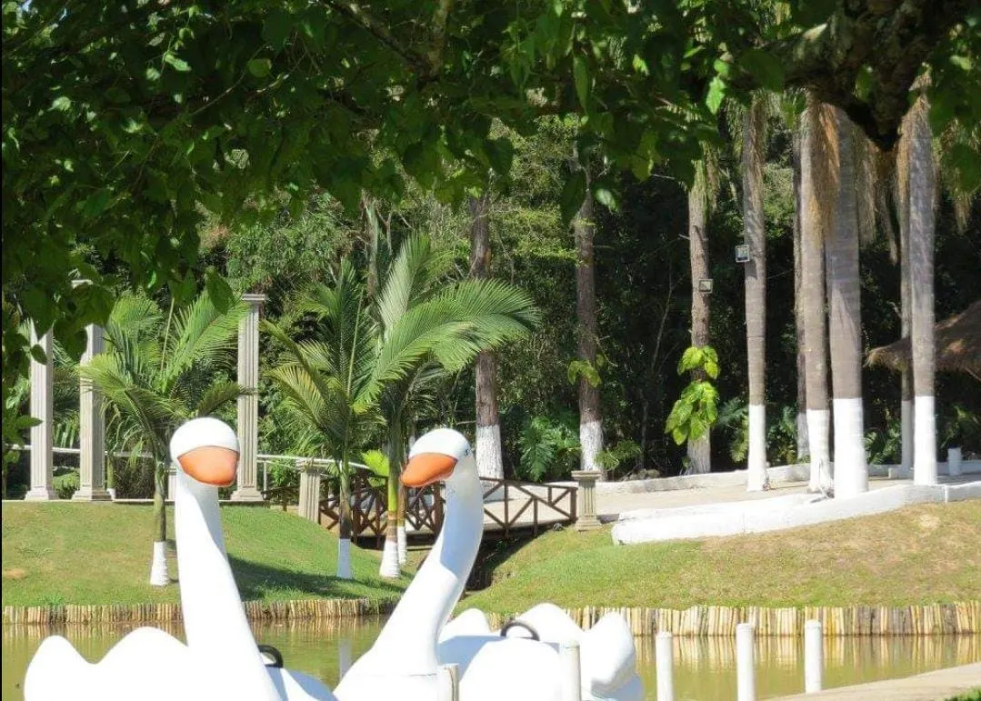 Small farm for sale of 24 acres in Guararema, SP, Brazil