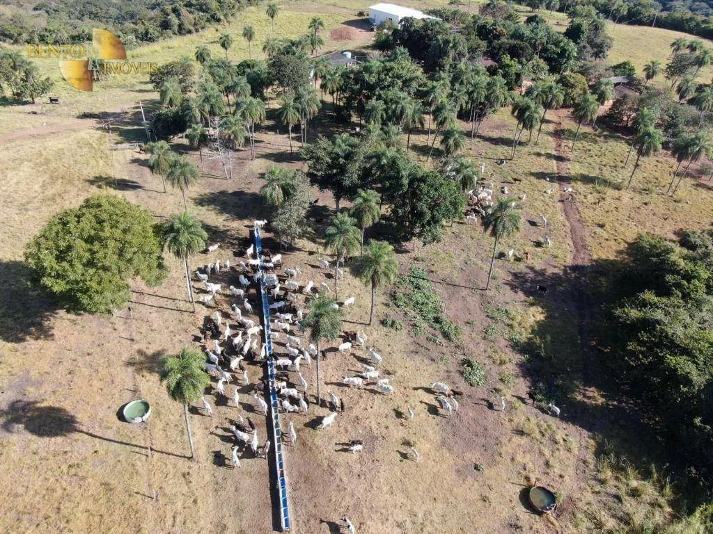 Fazenda à venda de 1.294 ha em Itiquira, MT, Brasil