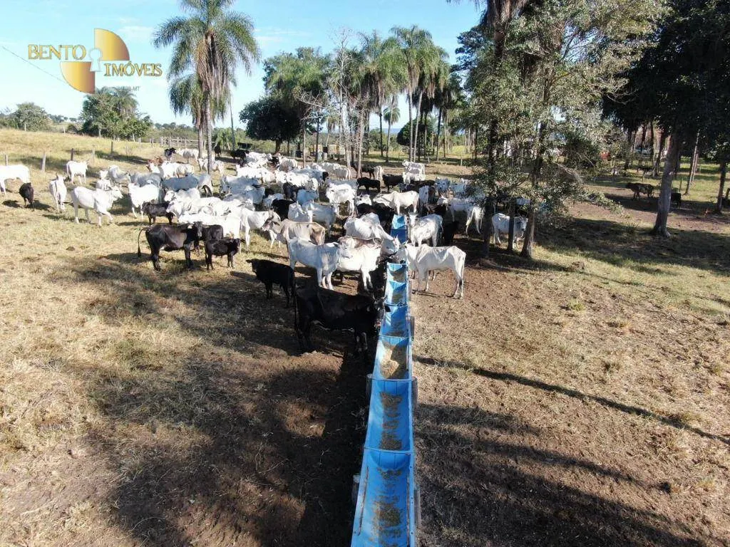 Fazenda à venda de 1.294 ha em Itiquira, MT, Brasil