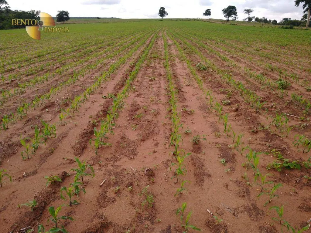 Fazenda à venda de 1.294 ha em Itiquira, MT, Brasil