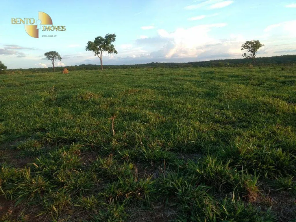 Fazenda à venda de 1.294 ha em Itiquira, MT, Brasil