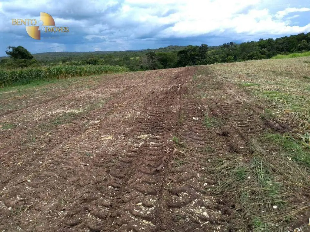 Fazenda à venda de 1.294 ha em Itiquira, MT, Brasil