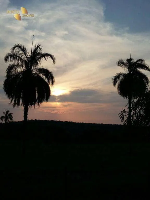 Fazenda à venda de 1.294 ha em Itiquira, MT, Brasil