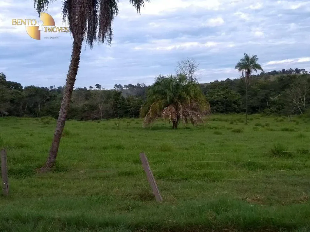 Fazenda à venda de 1.294 ha em Itiquira, MT, Brasil