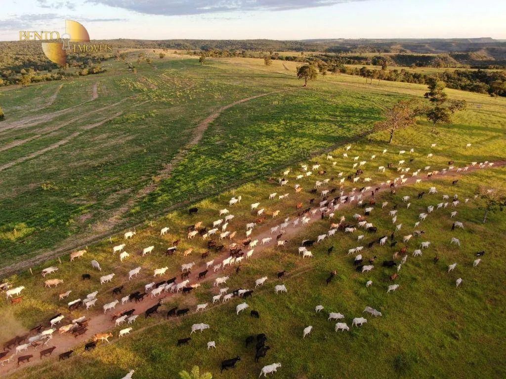 Fazenda à venda de 1.294 ha em Itiquira, MT, Brasil