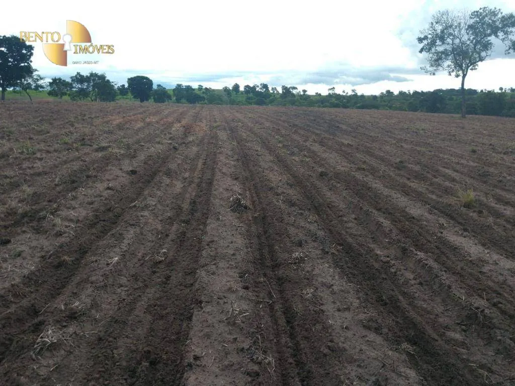 Fazenda à venda de 1.294 ha em Itiquira, MT, Brasil