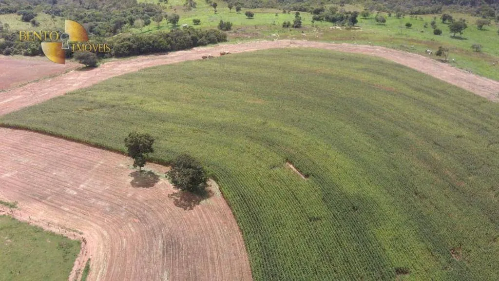 Fazenda à venda de 1.294 ha em Itiquira, MT, Brasil