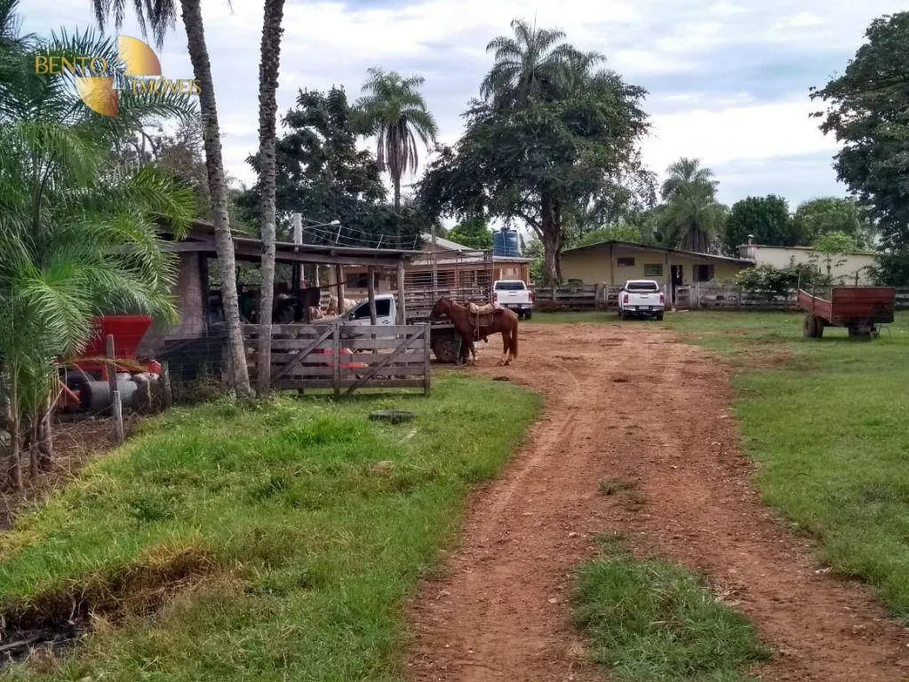 Fazenda à venda de 1.294 ha em Itiquira, MT, Brasil