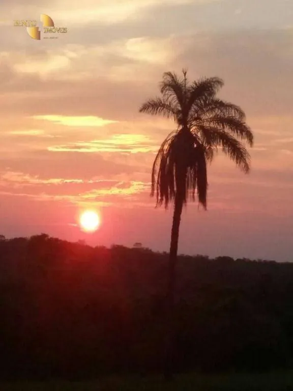 Fazenda à venda de 1.294 ha em Itiquira, MT, Brasil