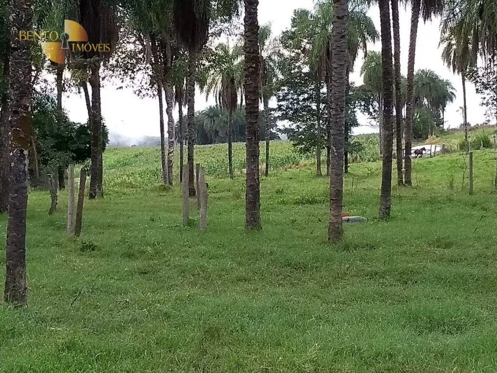 Fazenda à venda de 1.294 ha em Itiquira, MT, Brasil