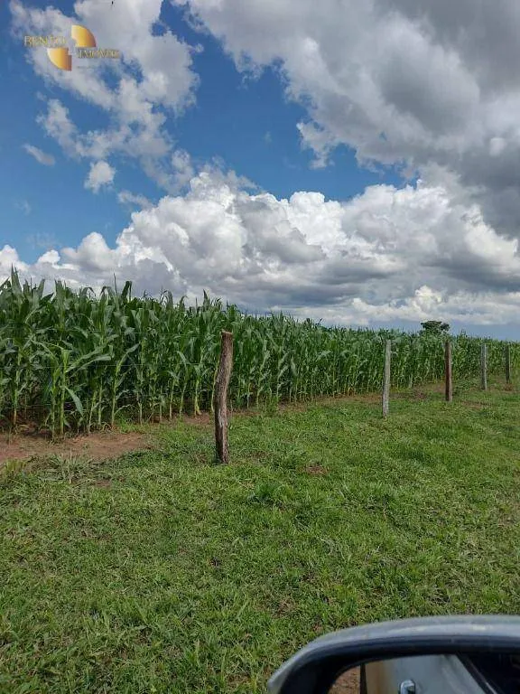 Fazenda à venda de 1.294 ha em Itiquira, MT, Brasil