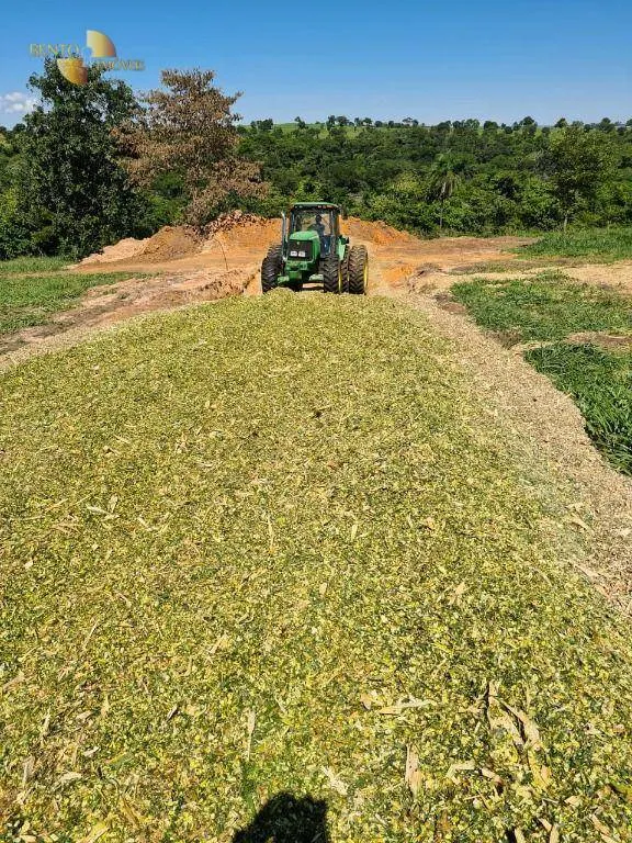 Fazenda à venda de 1.294 ha em Itiquira, MT, Brasil