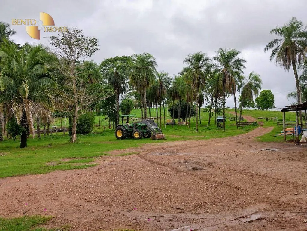 Fazenda à venda de 1.294 ha em Itiquira, MT, Brasil