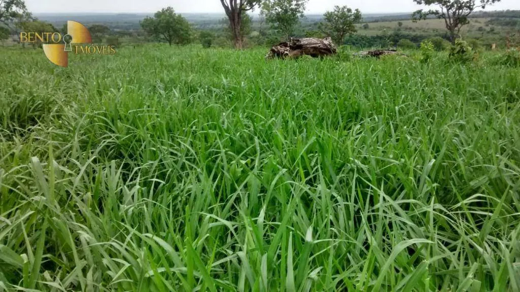 Fazenda à venda de 1.294 ha em Itiquira, MT, Brasil