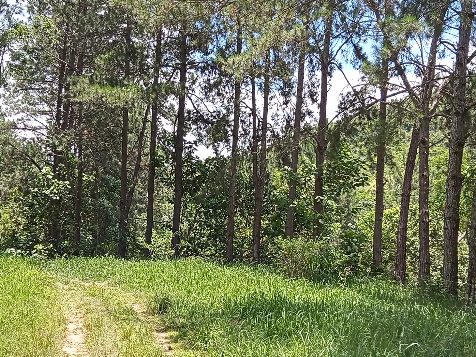 Small farm for sale of 179 acres in São José dos Campos, SP, Brazil