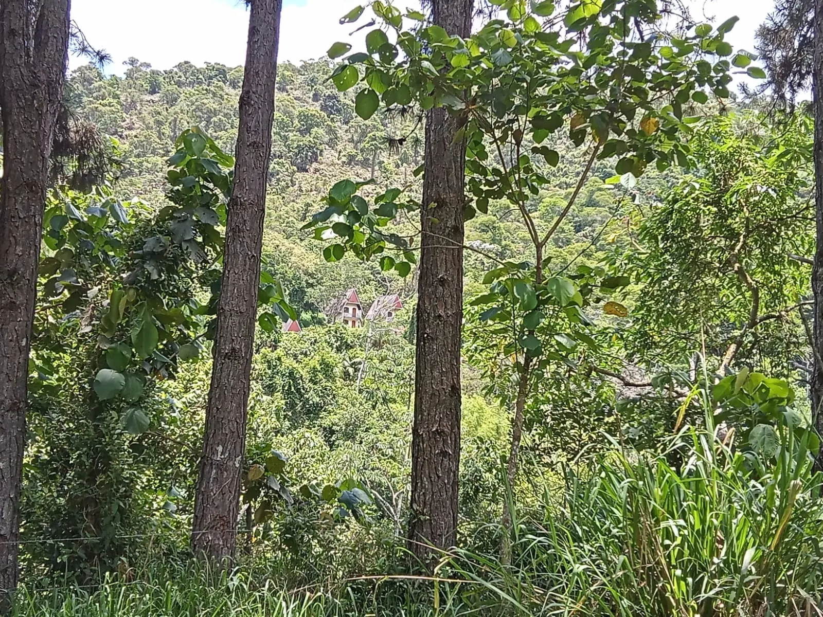 Small farm for sale of 179 acres in São José dos Campos, SP, Brazil