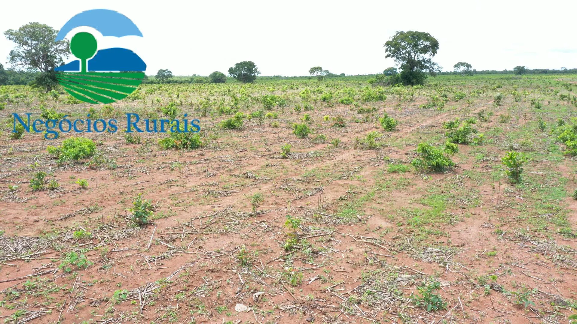 Farm for sale of 1,554 acres in Jaú do Tocantins, TO, Brazil