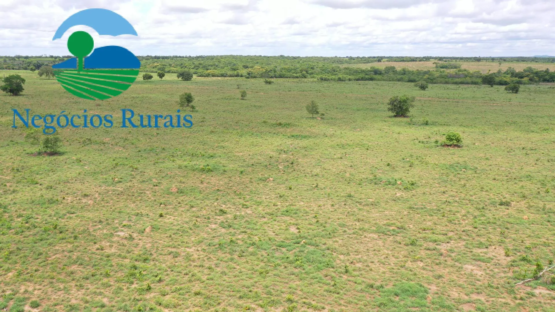 Farm for sale of 1,554 acres in Jaú do Tocantins, TO, Brazil