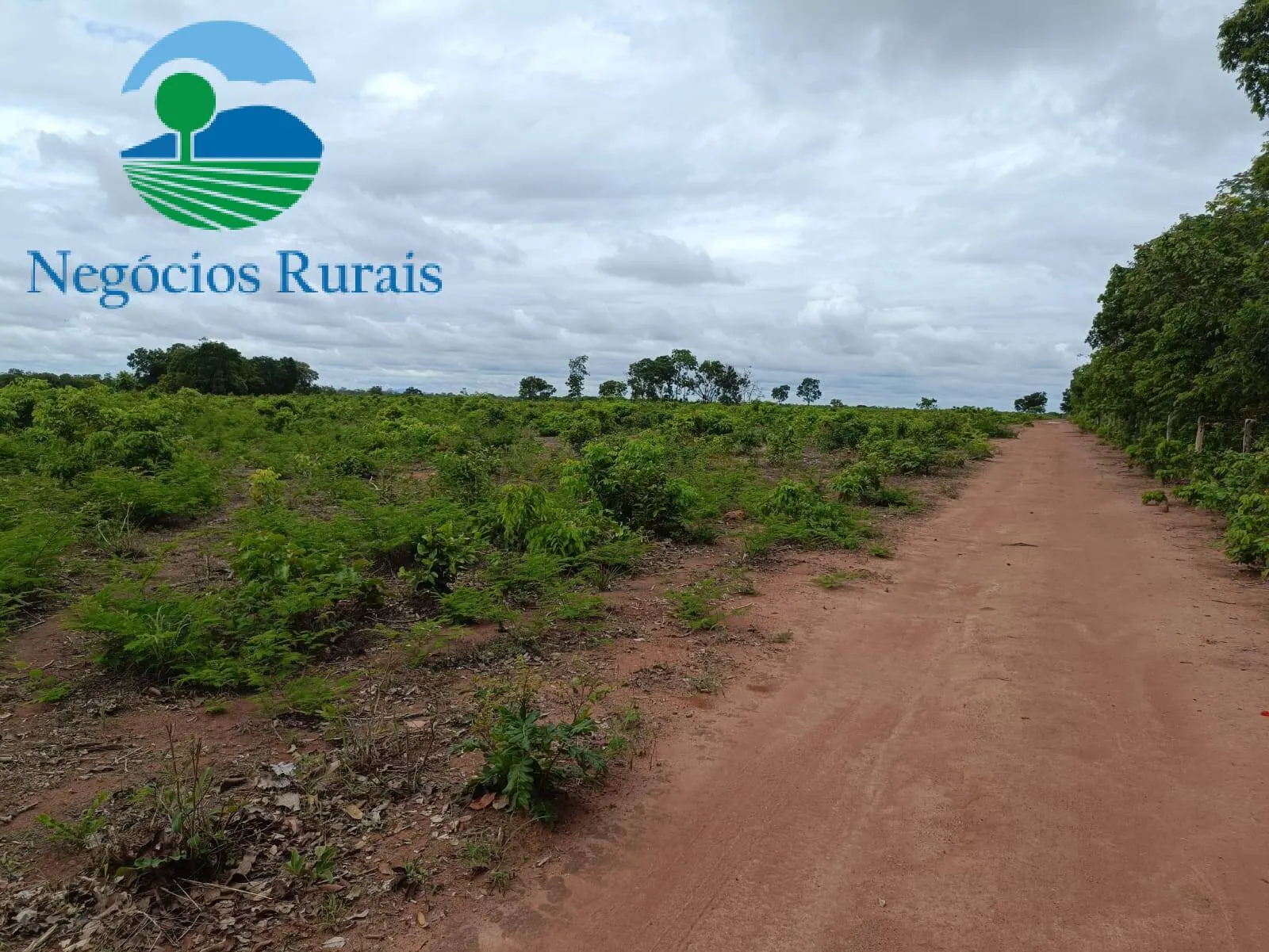 Farm for sale of 1,554 acres in Jaú do Tocantins, TO, Brazil