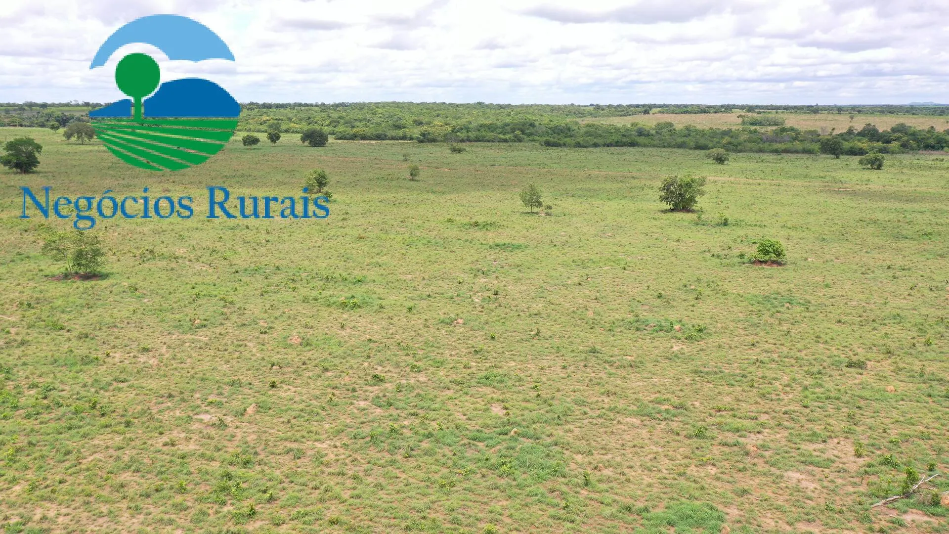 Farm for sale of 1,554 acres in Jaú do Tocantins, TO, Brazil