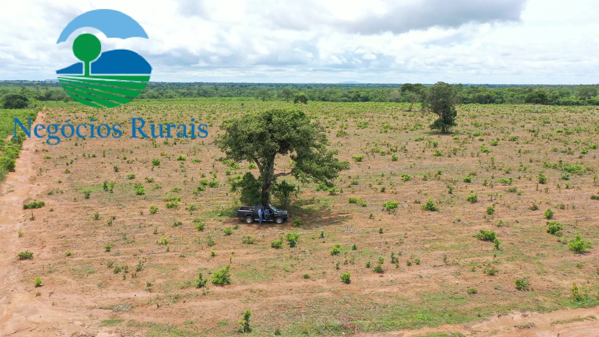 Farm for sale of 1,554 acres in Jaú do Tocantins, TO, Brazil