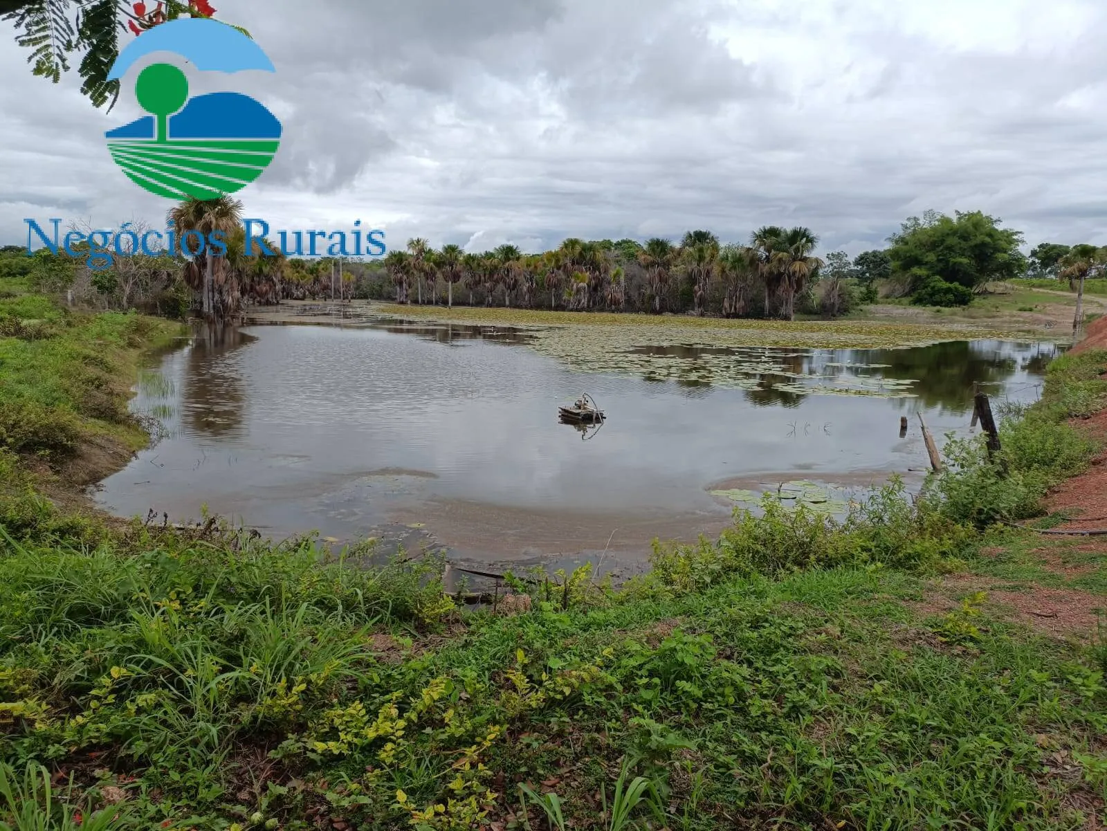 Farm for sale of 1,554 acres in Jaú do Tocantins, TO, Brazil