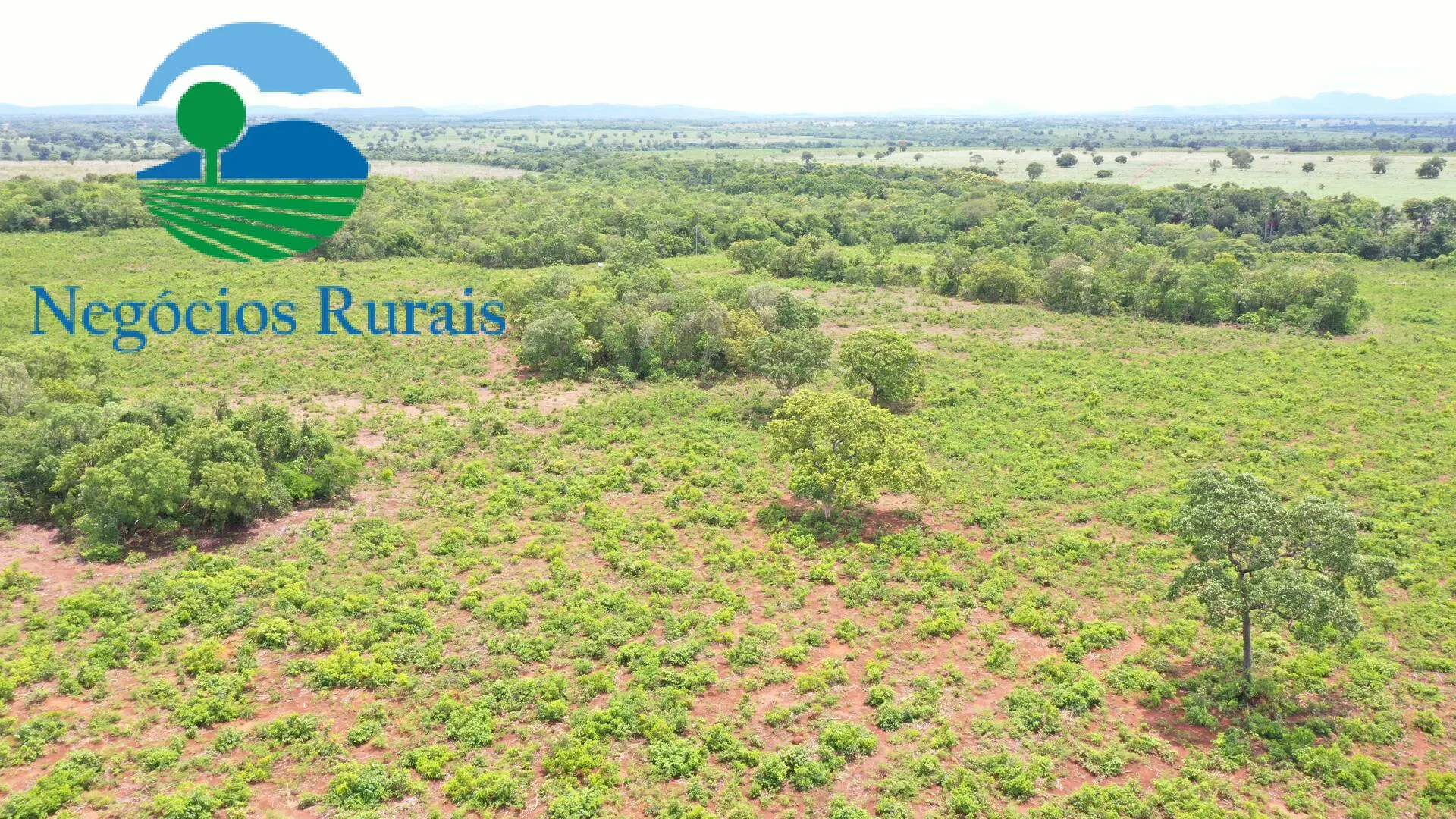 Farm for sale of 1,554 acres in Jaú do Tocantins, TO, Brazil