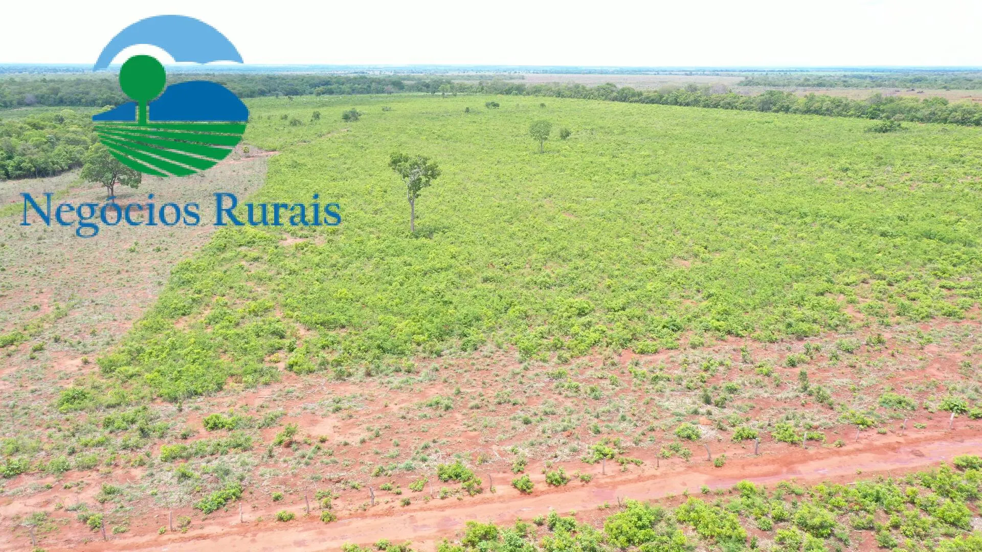 Farm for sale of 1,554 acres in Jaú do Tocantins, TO, Brazil