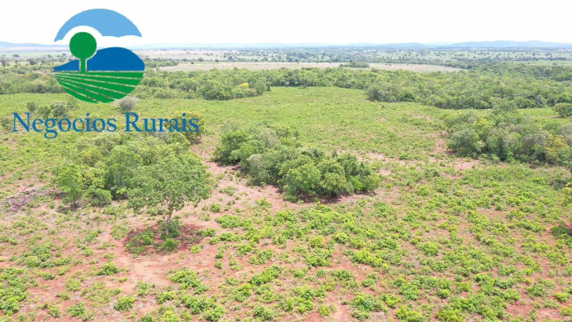 Farm for sale of 1,554 acres in Jaú do Tocantins, TO, Brazil