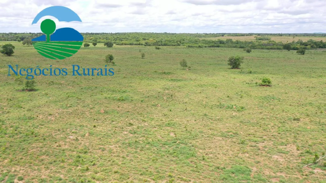 Farm for sale of 1,554 acres in Jaú do Tocantins, TO, Brazil