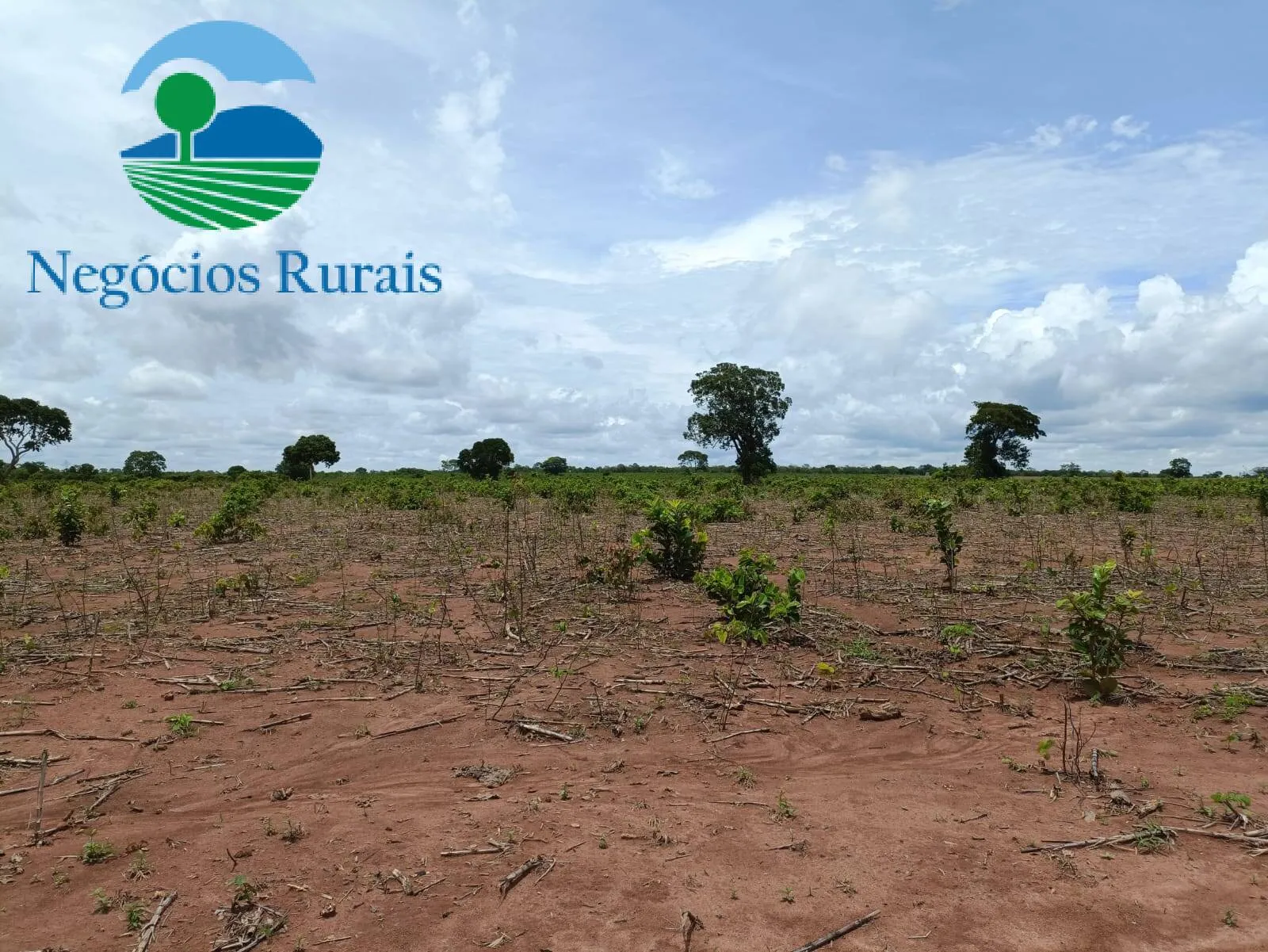 Farm for sale of 1,554 acres in Jaú do Tocantins, TO, Brazil