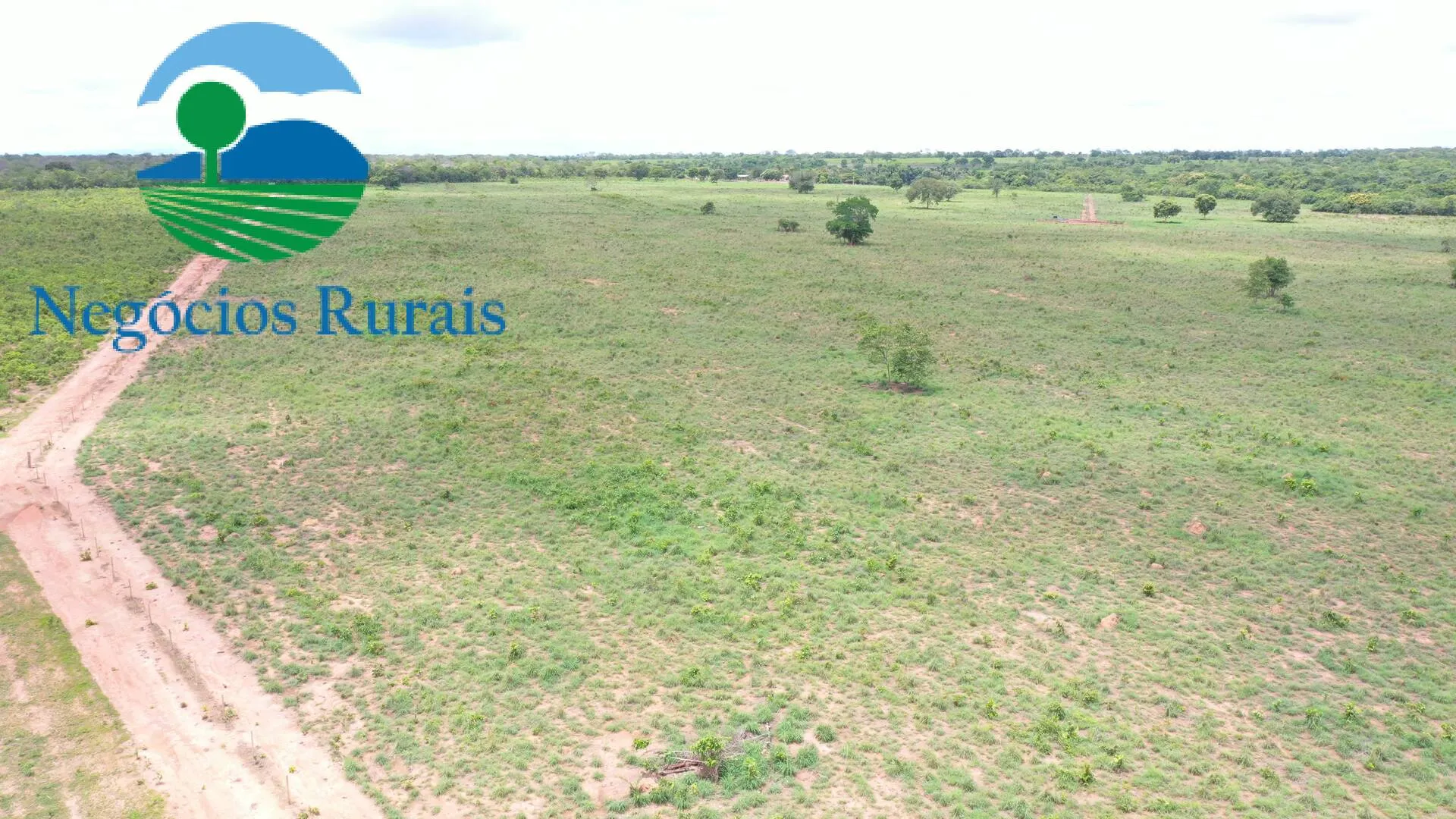 Farm for sale of 1,554 acres in Jaú do Tocantins, TO, Brazil