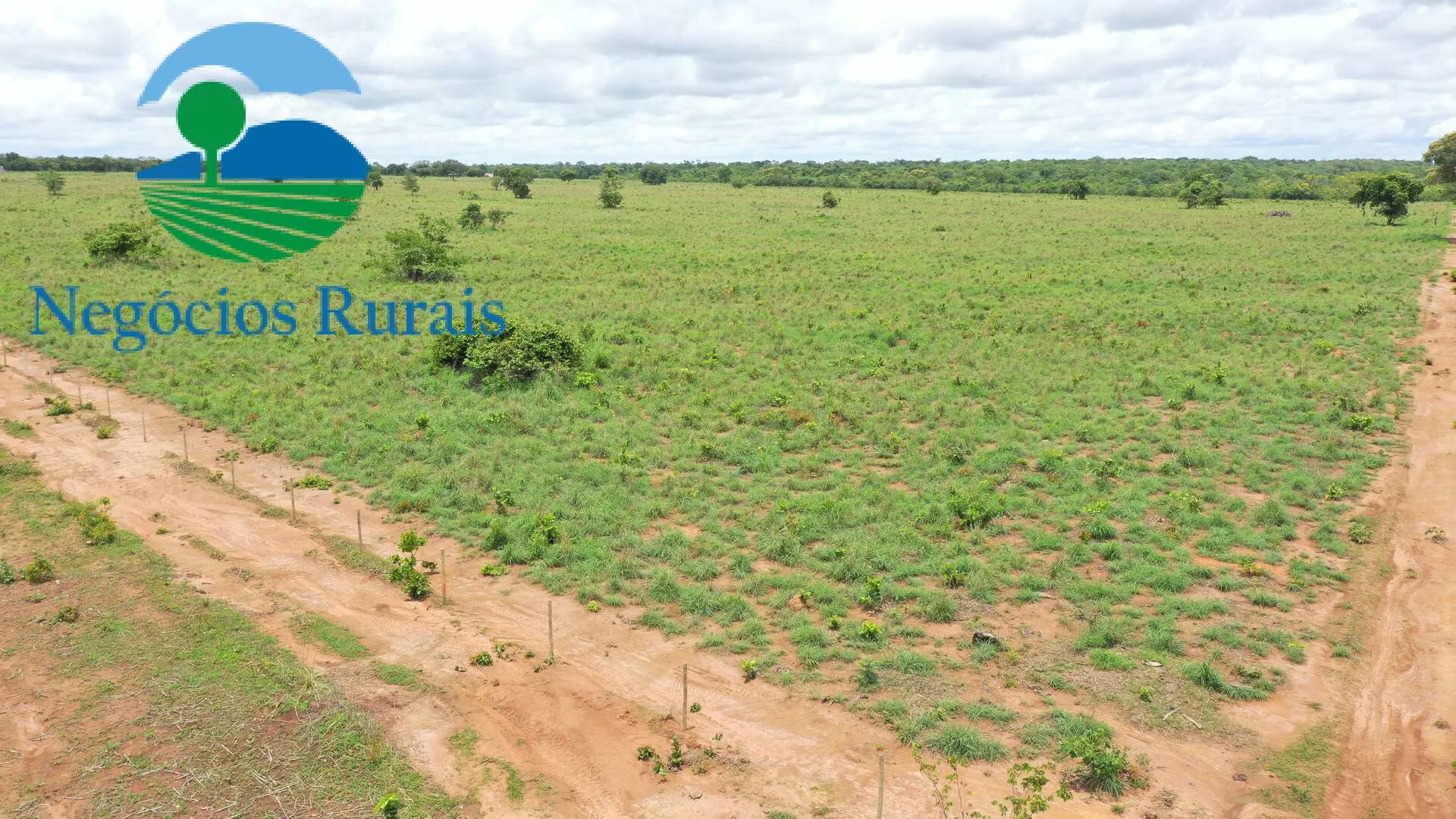 Farm for sale of 1,554 acres in Jaú do Tocantins, TO, Brazil