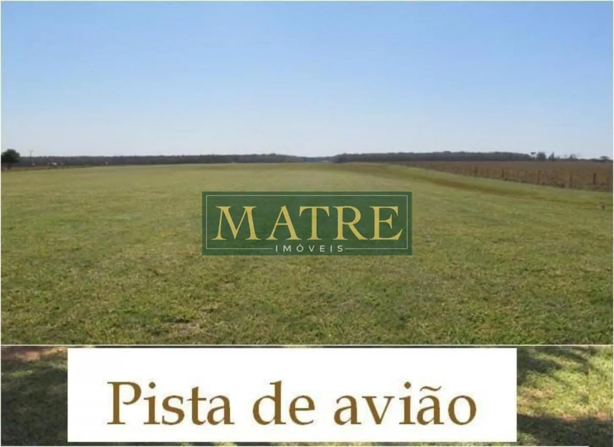 Fazenda à venda de 1.468 ha em Rancharia, SP, Brasil