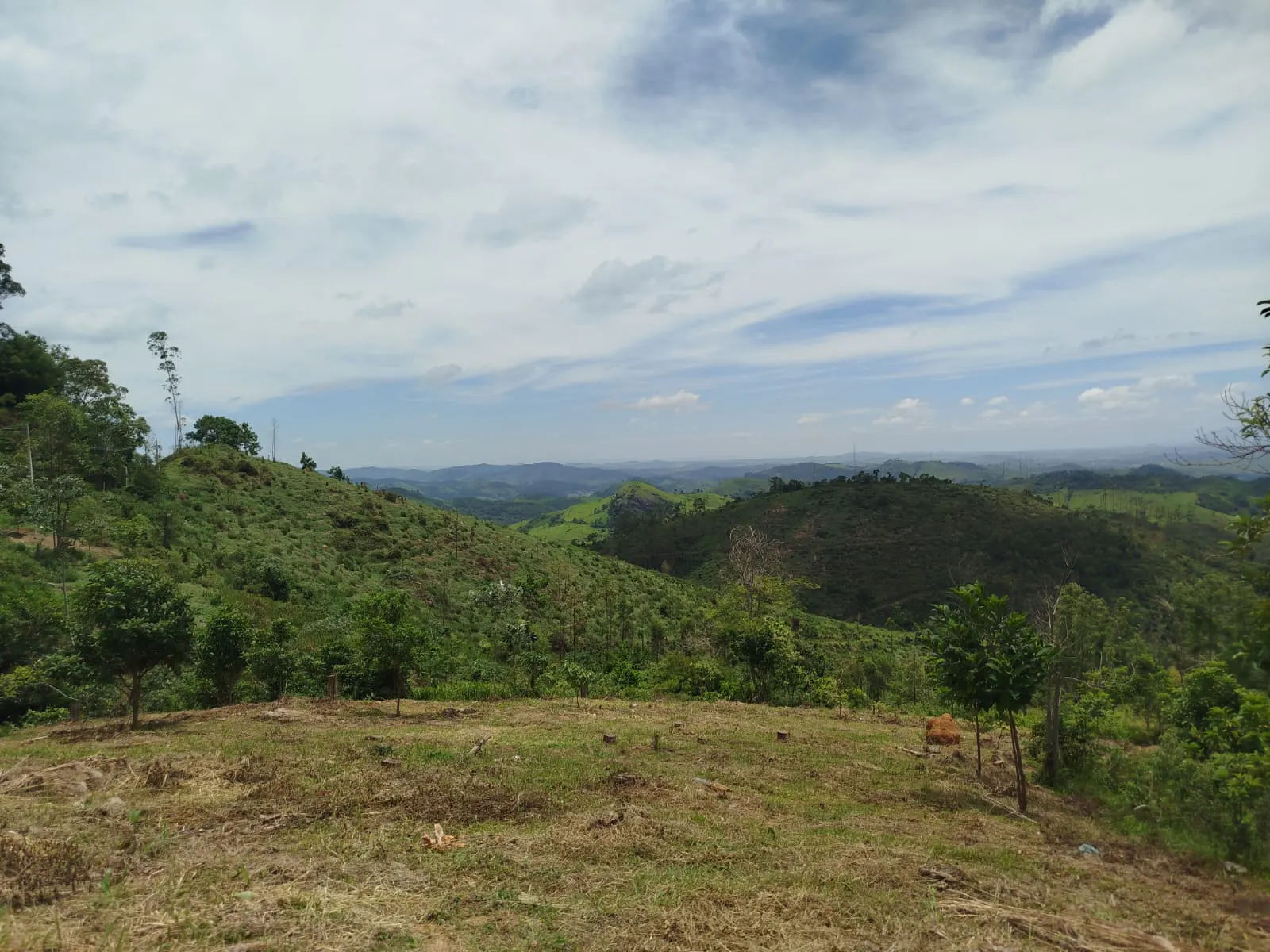 Terreno à venda de 2 ha em Coronel Pacheco, MG, Brasil