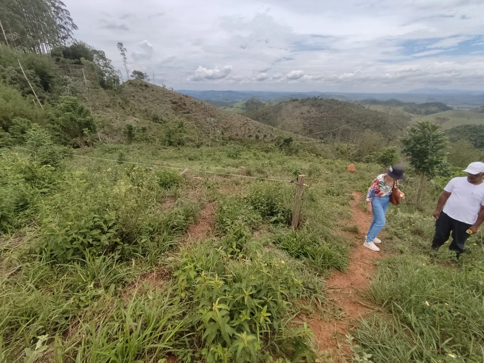 Terreno à venda de 2 ha em Coronel Pacheco, MG, Brasil
