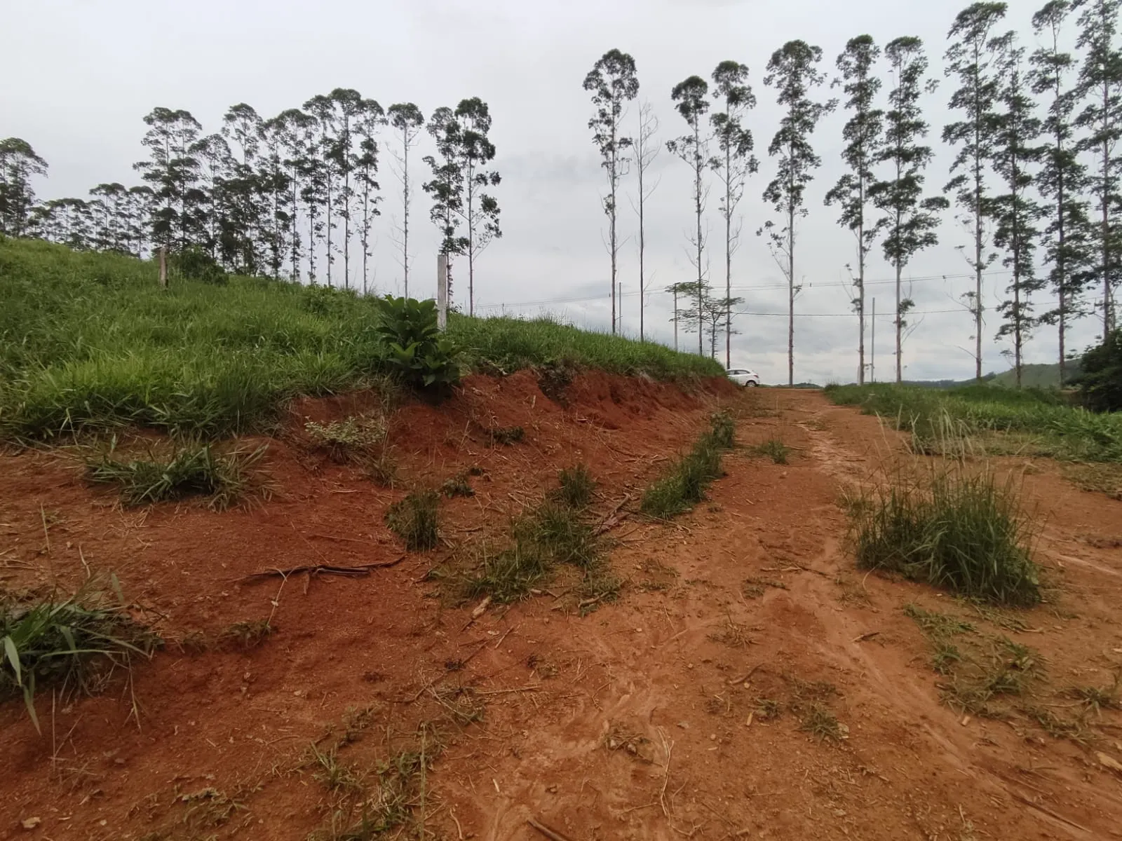 Terreno à venda de 2 ha em Coronel Pacheco, MG, Brasil