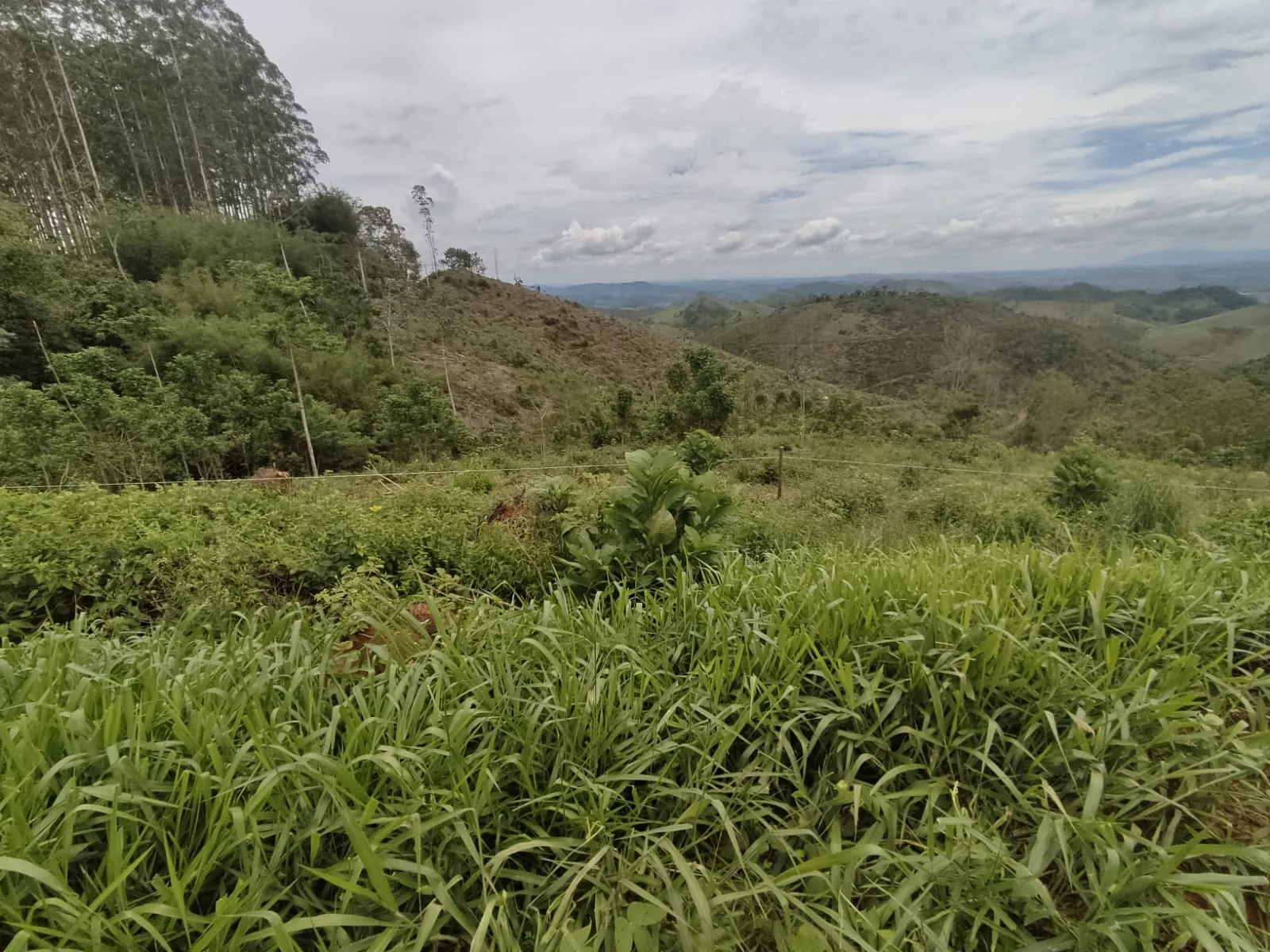 Terreno à venda de 2 ha em Coronel Pacheco, MG, Brasil