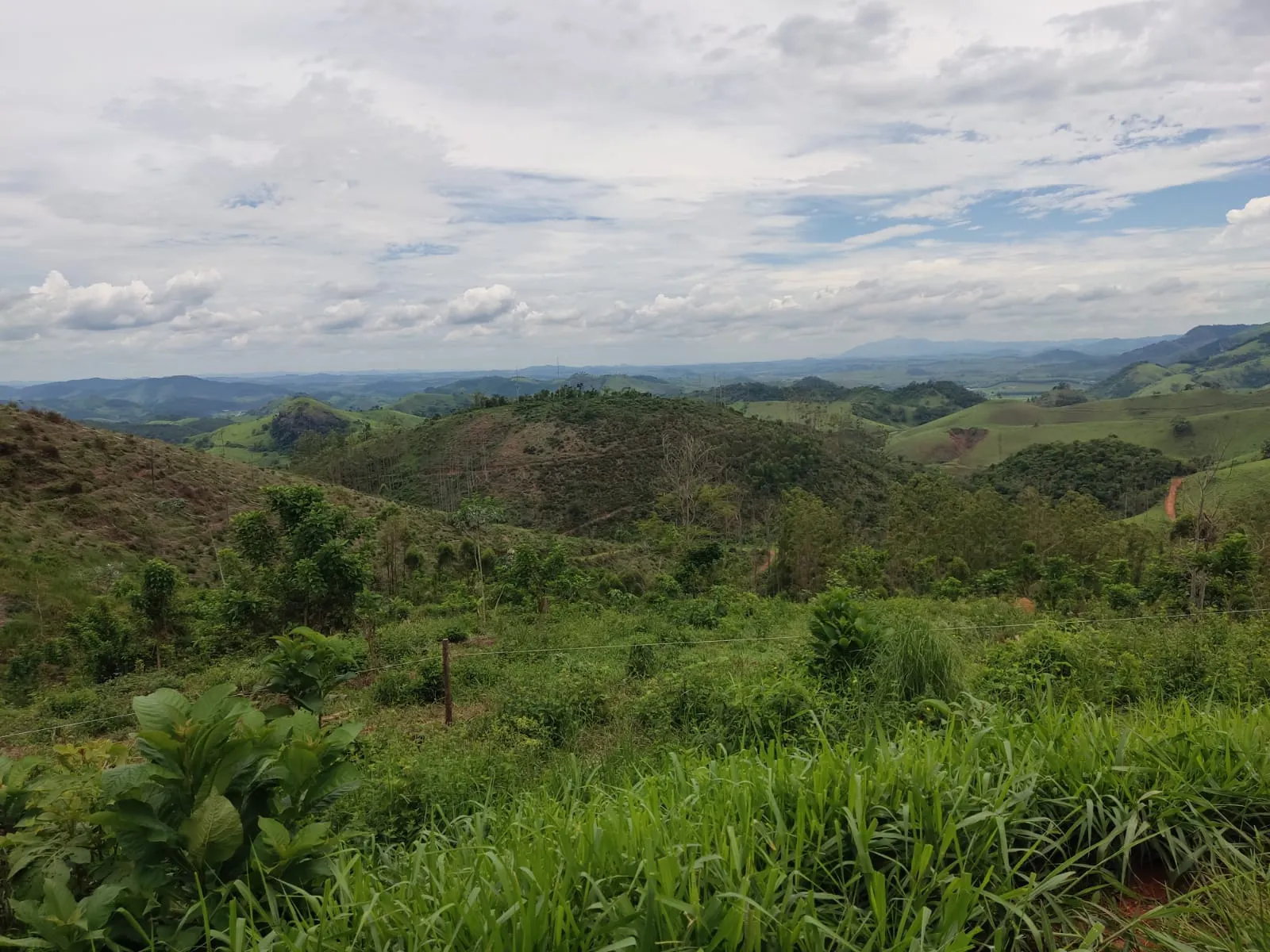 Terreno à venda de 2 ha em Coronel Pacheco, MG, Brasil