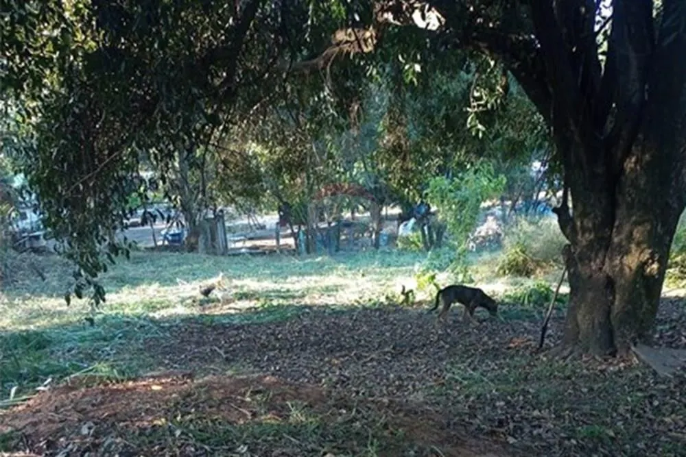 Chácara à venda de 2.400 m² em Cosmópolis, SP, Brasil