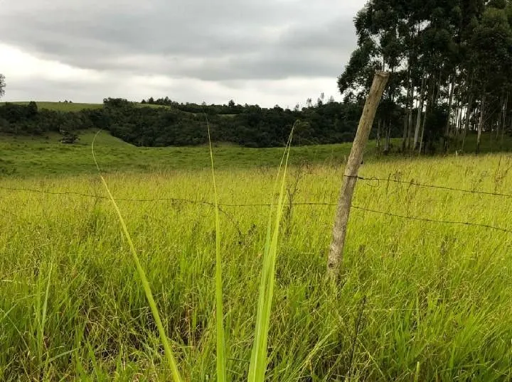 Sítio à venda de 2 ha em Santo Antônio da Patrulha, RS, Brasil