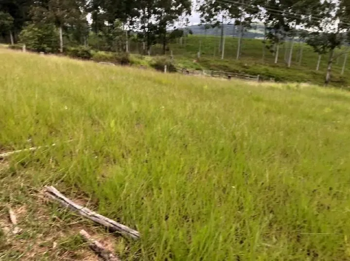 Sítio à venda de 2 ha em Santo Antônio da Patrulha, RS, Brasil