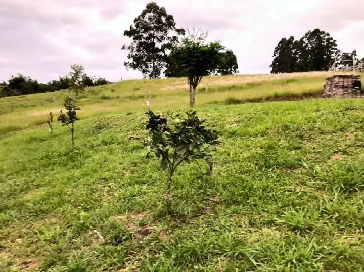 Sítio à venda de 2 ha em Santo Antônio da Patrulha, RS, Brasil