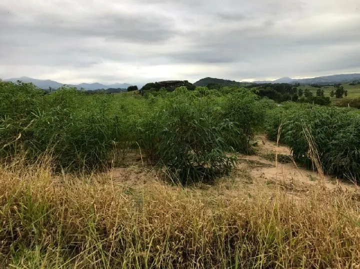 Sítio à venda de 2 ha em Santo Antônio da Patrulha, RS, Brasil