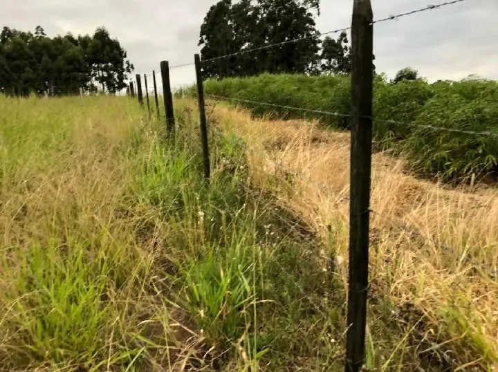 Sítio à venda de 2 ha em Santo Antônio da Patrulha, RS, Brasil