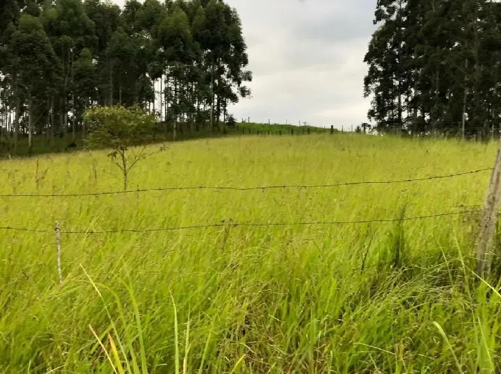 Sítio à venda de 2 ha em Santo Antônio da Patrulha, RS, Brasil